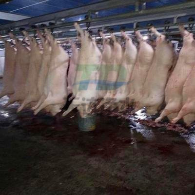 ���׏S�Uˮ̎��