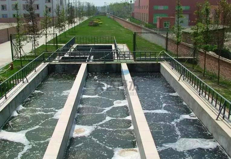 5�N����̎����ˮ����